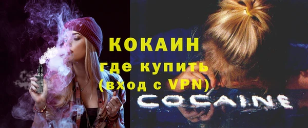 кокс Алексин
